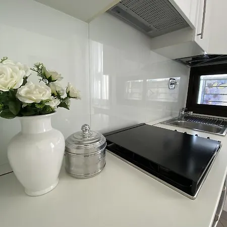 Trieste-flexrent Immobiliare Abissinia