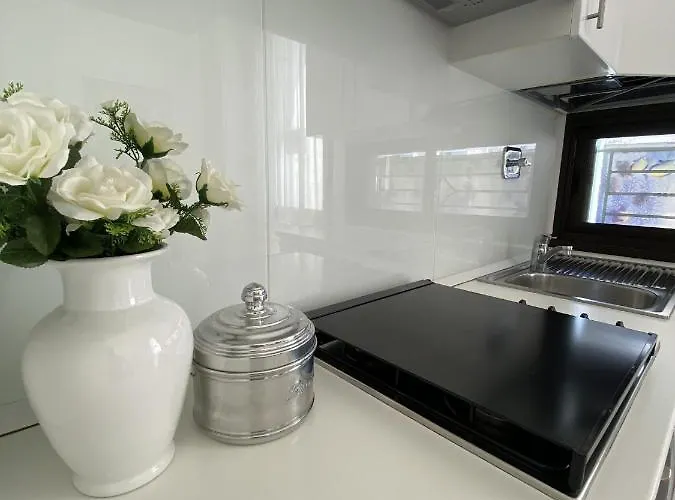 Trieste-flexrent Immobiliare Abissinia